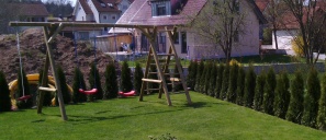 Planter une haie persistant Conseil pour plantation - plantes pour haies